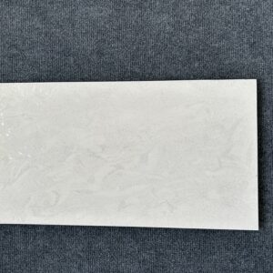 Foto einer einzelnen Bodenfliese Feinsteinzeug im Format 30cm x 60cm und im Farbton grau creme.
