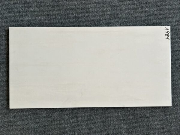 Foto einer einzelnen Bodenfliese Feinsteinzeug im Format 35 cm x 70 cm und hellgrauem Farbton.