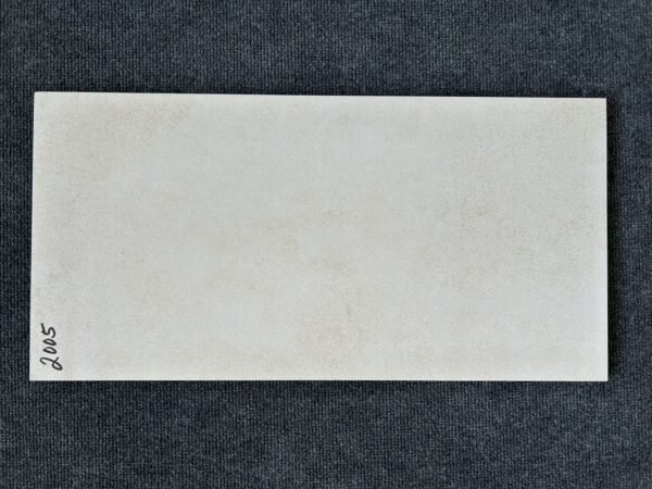 Foto einer einzelnen Bodenfliese Feinsteinzeug im Format 30 cm x 60 cm und im Farbton creme.
